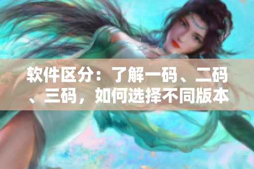 軟件區(qū)分：了解一碼、二碼、三碼，如何選擇不同版本？