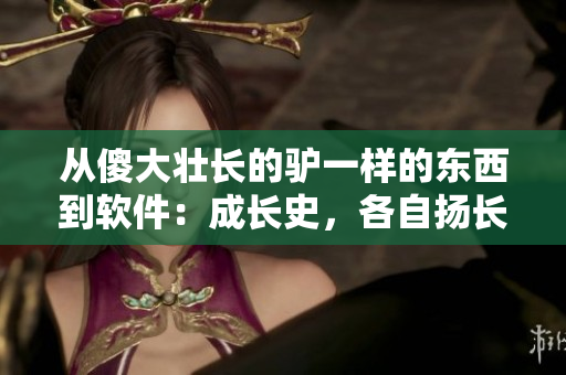 從傻大壯長的驢一樣的東西到軟件：成長史，各自揚長避短，互為補益