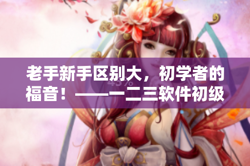 老手新手區(qū)別大，初學(xué)者的福音！——一二三軟件初級版、高級版與專業(yè)版比較