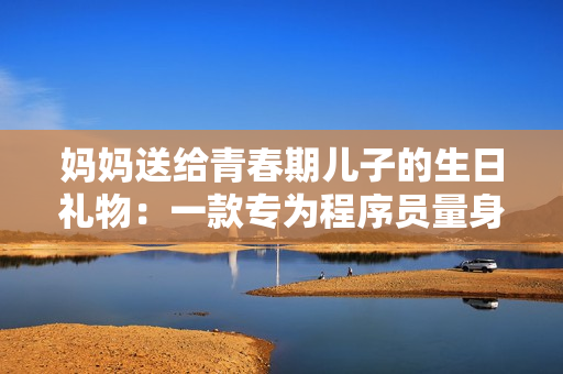 媽媽送給青春期兒子的生日禮物：一款專為程序員量身打造的軟件