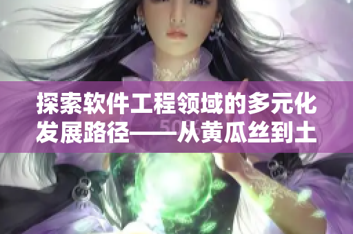 探索軟件工程領域的多元化發(fā)展路徑——從黃瓜絲到土豆的啟示