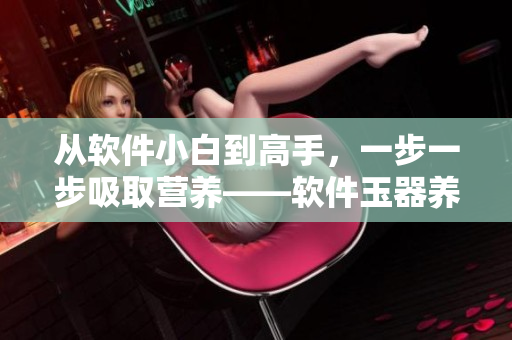 從軟件小白到高手，一步一步吸取營養(yǎng)——軟件玉器養(yǎng)成記