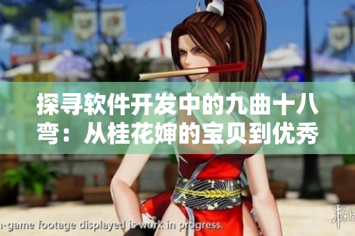 探尋軟件開(kāi)發(fā)中的九曲十八彎：從桂花嬸的寶貝到優(yōu)秀軟件