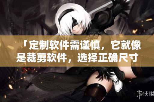 「定制軟件需謹慎，它就像是裁剪軟件，選擇正確尺寸是關鍵」