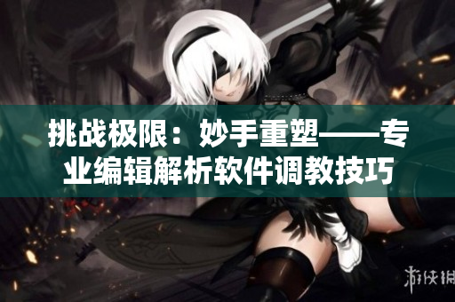 挑戰(zhàn)極限：妙手重塑——專業(yè)編輯解析軟件調(diào)教技巧