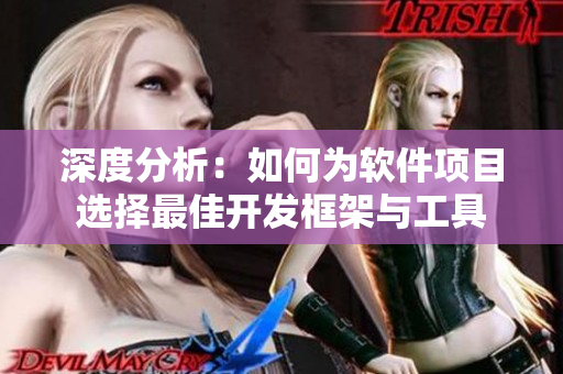 深度分析：如何為軟件項(xiàng)目選擇最佳開發(fā)框架與工具