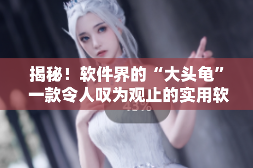 揭秘！軟件界的“大頭龜” 一款令人嘆為觀止的實用軟件