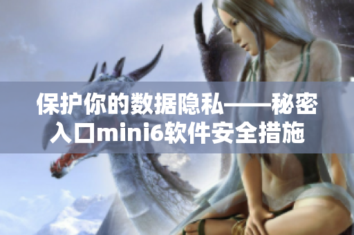 保護你的數(shù)據(jù)隱私——秘密入口mini6軟件安全措施