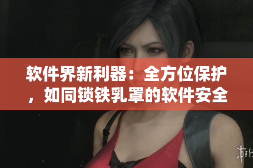 軟件界新利器：全方位保護，如同鎖鐵乳罩的軟件安全系統(tǒng)