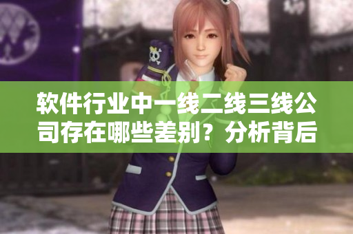 軟件行業(yè)中一線二線三線公司存在哪些差別？分析背后的原因！