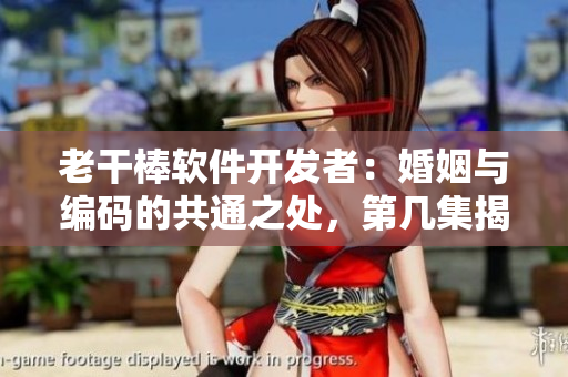 老干棒軟件開發(fā)者：婚姻與編碼的共通之處，第幾集揭曉！