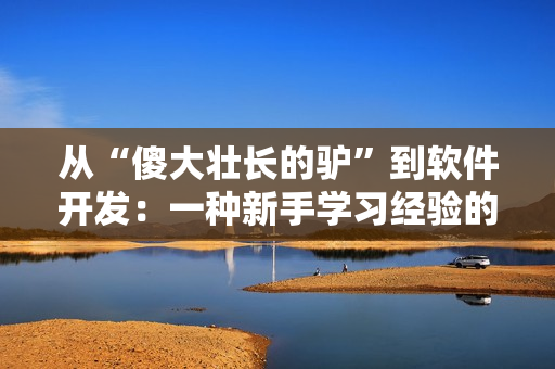 從“傻大壯長的驢”到軟件開發(fā)：一種新手學(xué)習(xí)經(jīng)驗的轉(zhuǎn)變