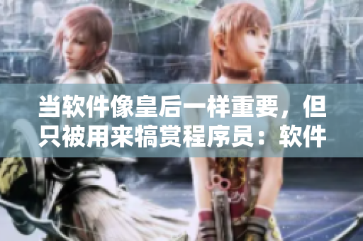 當(dāng)軟件像皇后一樣重要，但只被用來犒賞程序員：軟件在企業(yè)中的重要性