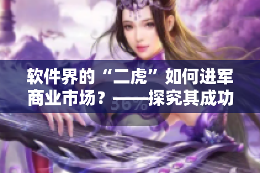 軟件界的“二虎”如何進軍商業(yè)市場？——探究其成功模式