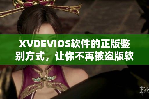 XVDEVIOS軟件的正版鑒別方式，讓你不再被盜版軟件所迷惑，滿足你的需求