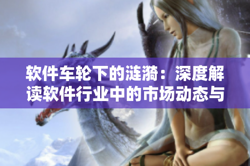 軟件車輪下的漣漪：深度解讀軟件行業(yè)中的市場動態(tài)與趨勢