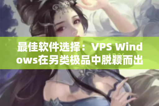 最佳軟件選擇：VPS Windows在另類極品中脫穎而出