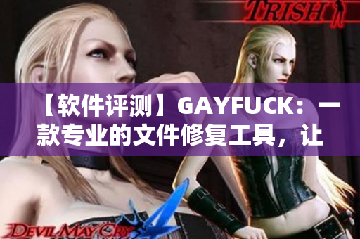 【軟件評測】GAYFUCK：一款專業(yè)的文件修復(fù)工具，讓您的文件恢復(fù)重生