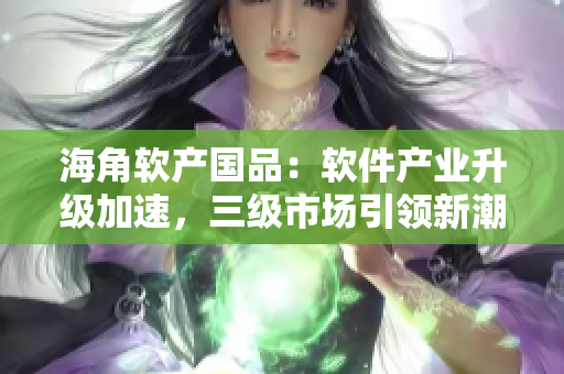 海角軟產(chǎn)國品：軟件產(chǎn)業(yè)升級加速，三級市場引領(lǐng)新潮流