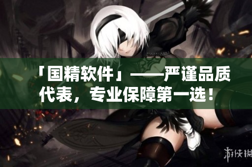 「國精軟件」——嚴(yán)謹(jǐn)品質(zhì)代表，專業(yè)保障第一選！