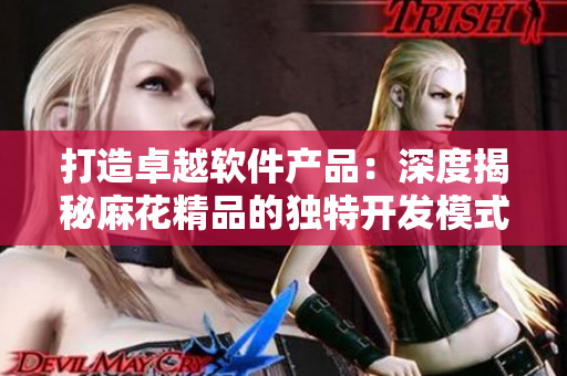 打造卓越軟件產(chǎn)品：深度揭秘麻花精品的獨(dú)特開發(fā)模式