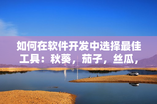 如何在軟件開發(fā)中選擇最佳工具：秋葵，茄子，絲瓜，香蕉，榴蓮的比喻