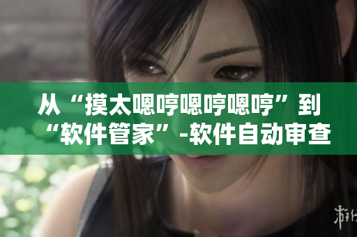 從“摸太嗯哼嗯哼嗯哼”到“軟件管家”-軟件自動審查的革新