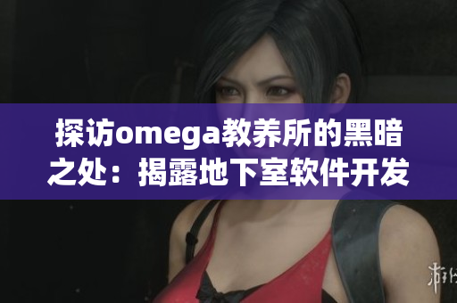 探訪omega教養(yǎng)所的黑暗之處：揭露地下室軟件開發(fā)的真相