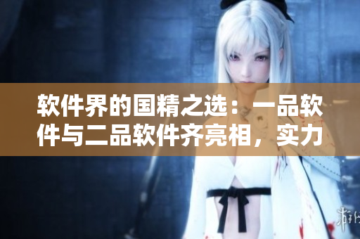 軟件界的國精之選：一品軟件與二品軟件齊亮相，實力在線受矚目