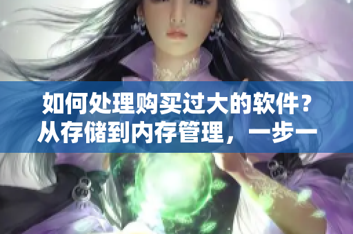 如何處理購(gòu)買(mǎi)過(guò)大的軟件？從存儲(chǔ)到內(nèi)存管理，一步一步解決此問(wèn)題！