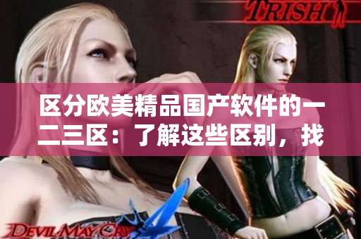 區(qū)分歐美精品國產軟件的一二三區(qū)：了解這些區(qū)別，找到最適合您的軟件！