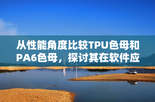 從性能角度比較TPU色母和PA6色母，探討其在軟件應用中的合適性