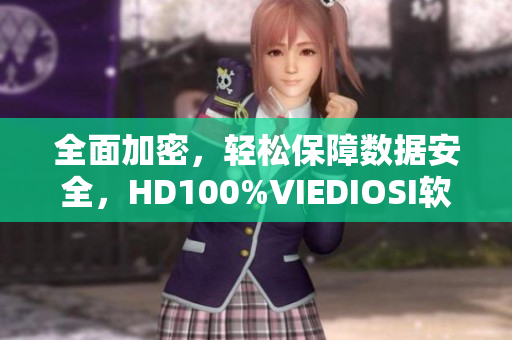 全面加密，輕松保障數(shù)據(jù)安全，HD100%VIEDIOSI軟件你值得擁有！