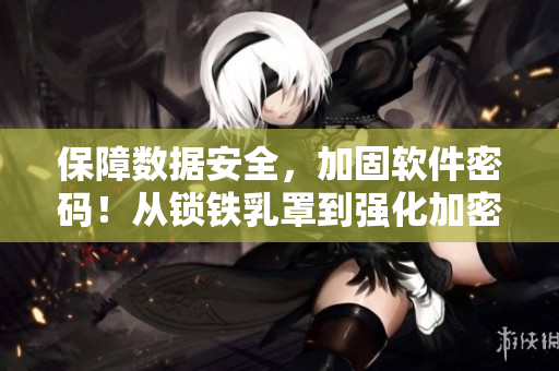 保障數(shù)據(jù)安全，加固軟件密碼！從鎖鐵乳罩到強(qiáng)化加密，防止黑客入侵！