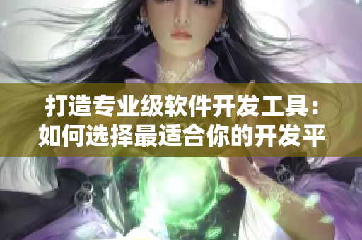 打造專業(yè)級軟件開發(fā)工具：如何選擇最適合你的開發(fā)平臺