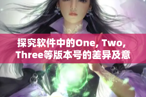 探究軟件中的One, Two, Three等版本號的差異及意義