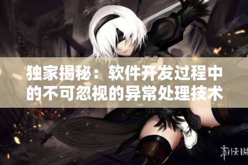 獨(dú)家揭秘：軟件開發(fā)過程中的不可忽視的異常處理技術(shù)