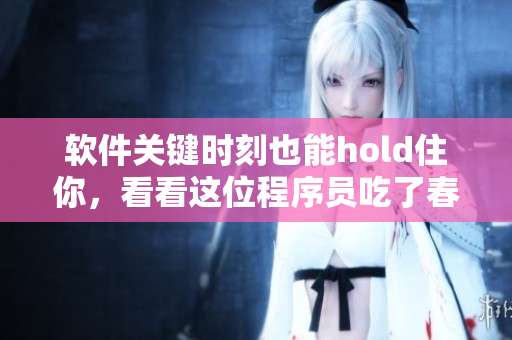 軟件關(guān)鍵時刻也能hold住你，看看這位程序員吃了春晚藥后寫下的高產(chǎn)代碼！
