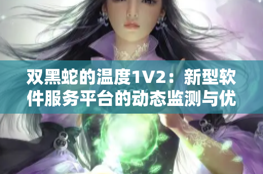 雙黑蛇的溫度1V2：新型軟件服務(wù)平臺的動態(tài)監(jiān)測與優(yōu)化