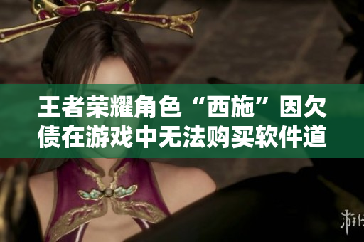 王者榮耀角色“西施”因欠債在游戲中無(wú)法購(gòu)買軟件道具？！
