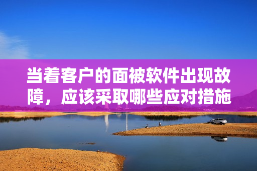 當(dāng)著客戶的面被軟件出現(xiàn)故障，應(yīng)該采取哪些應(yīng)對措施？- 一位編輯的建議