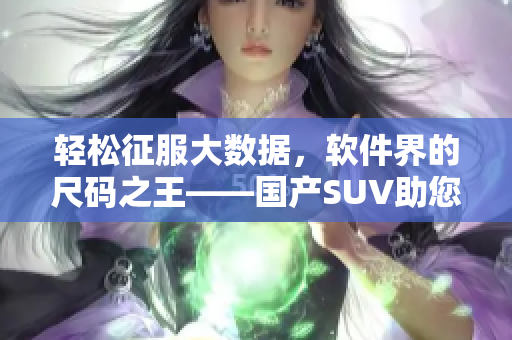 輕松征服大數(shù)據(jù)，軟件界的尺碼之王——國產(chǎn)SUV助您實現(xiàn)高效處理