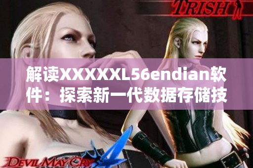 解讀XXXXXL56endian軟件：探索新一代數(shù)據(jù)存儲(chǔ)技術(shù)