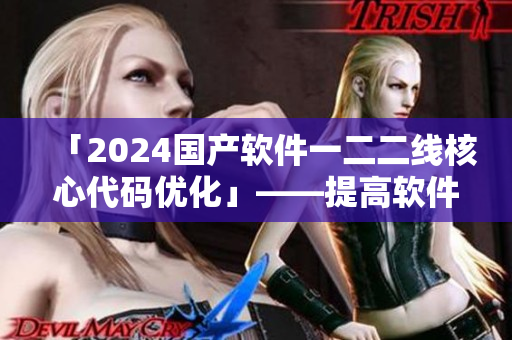 「2024國產(chǎn)軟件一二二線核心代碼優(yōu)化」——提高軟件效率的最佳選擇！
