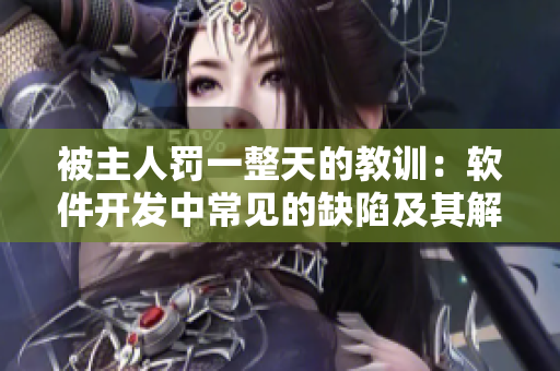被主人罰一整天的教訓(xùn)：軟件開發(fā)中常見的缺陷及其解決方案