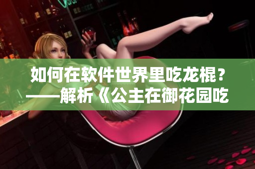 如何在軟件世界里吃龍棍？——解析《公主在御花園吃龍棍》這一集的啟示。