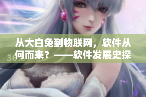 從大白兔到物聯(lián)網(wǎng)，軟件從何而來(lái)？——軟件發(fā)展史探微