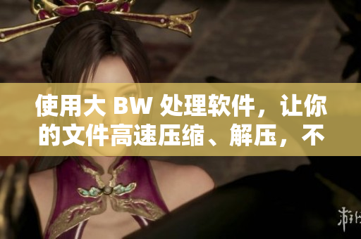 使用大 BW 處理軟件，讓你的文件高速壓縮、解壓，不僅安全而且穩(wěn)定