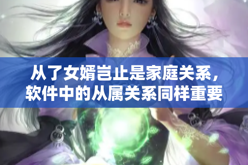 從了女婿豈止是家庭關(guān)系，軟件中的從屬關(guān)系同樣重要