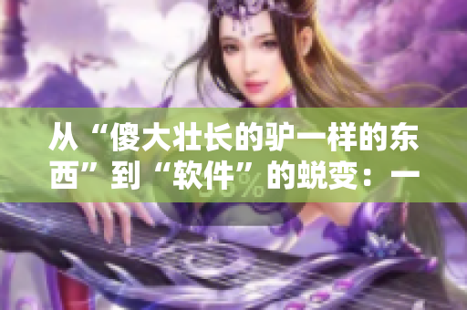 從“傻大壯長(zhǎng)的驢一樣的東西”到“軟件”的蛻變：一個(gè)發(fā)展歷程